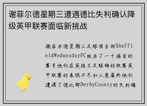 谢菲尔德星期三遭遇德比失利确认降级英甲联赛面临新挑战